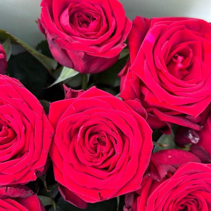 11 червоних троянд – доставка квітів у Дублін