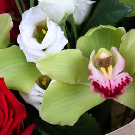 Щирість любові – доставка квітів у Миронівка