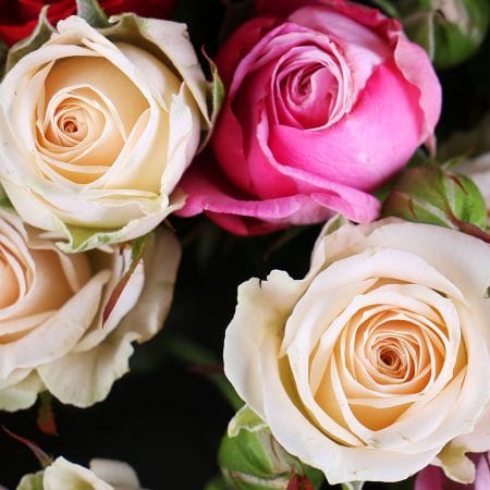 Букет квітів Сапфіровa ніжність – доставка квітів у Малин