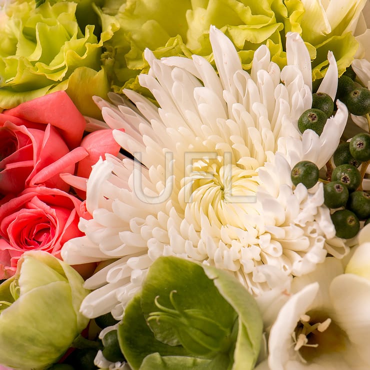 For a newborn girl – flower delivery in Novopokrovka