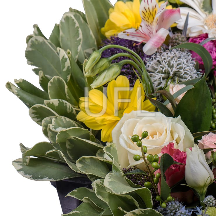 Вдохновитель – доставка цветов в Порт Морсби