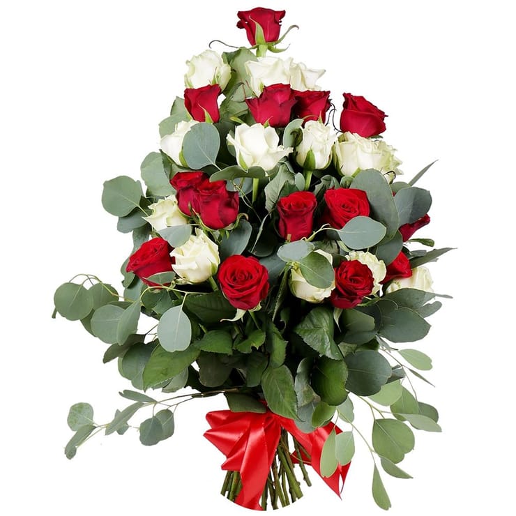 Bouquet 25 roses Red and white cloud – доставка цветов в Monaco