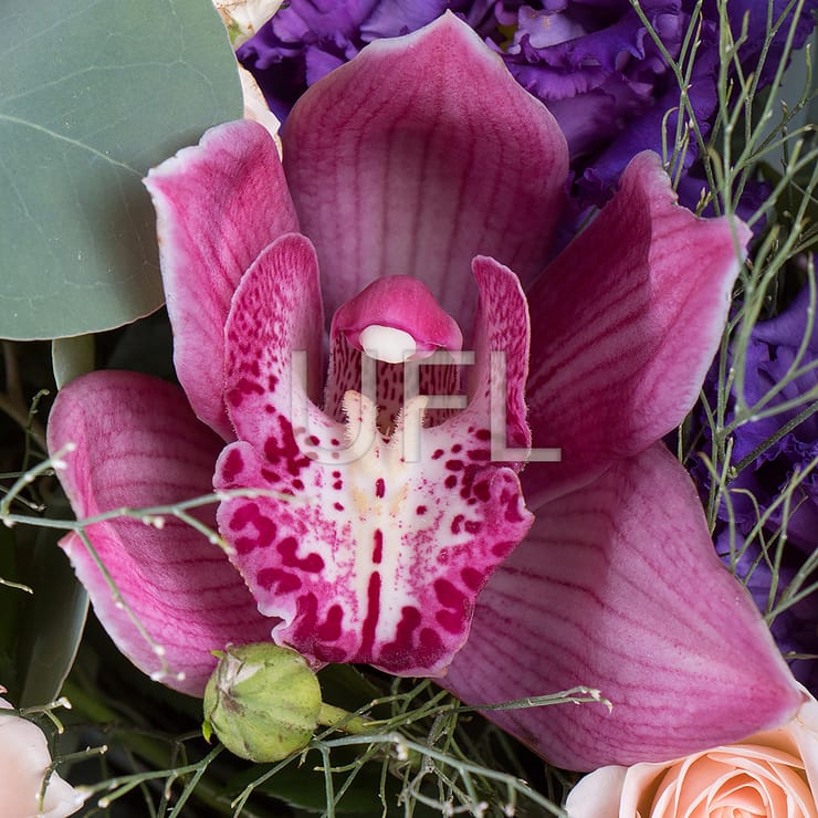 Waltz in a hat – flower delivery in Znamenka