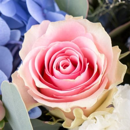 Букет Аквамаринові мрії – доставка квітів у Аваруа