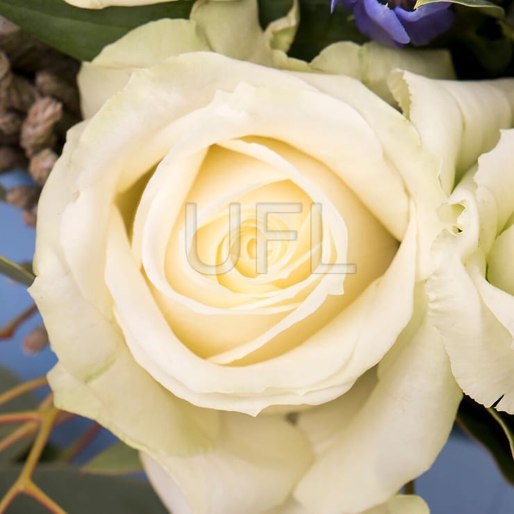 On the birthday boy – flower delivery in Novopokrovka