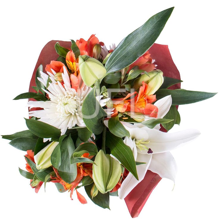 Lilianna – flower delivery in Shepetivka