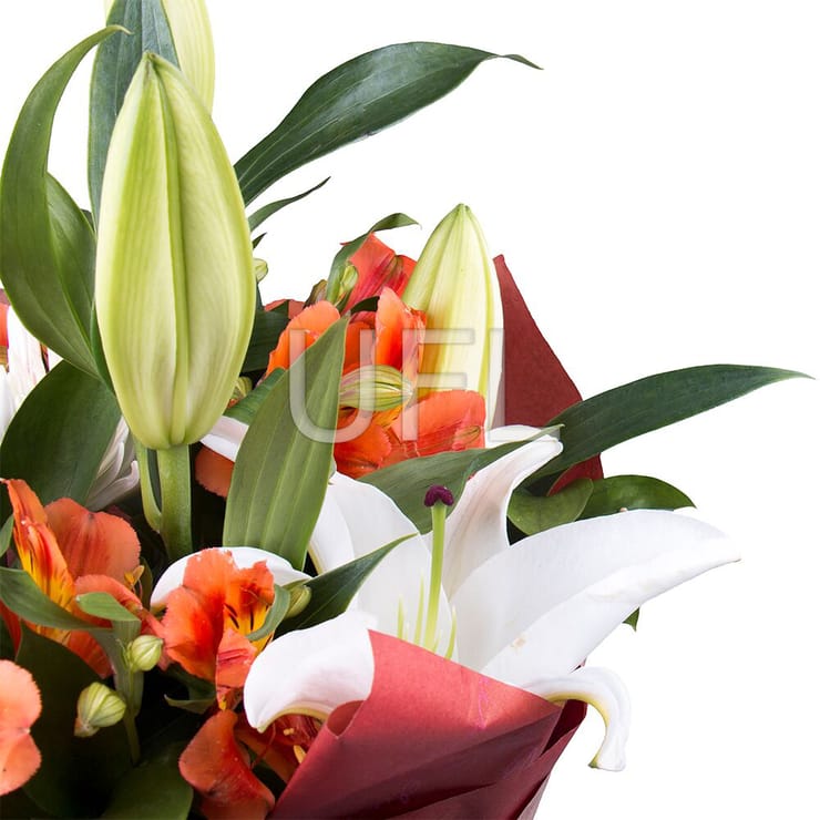 Lilianna – flower delivery in Shepetivka
