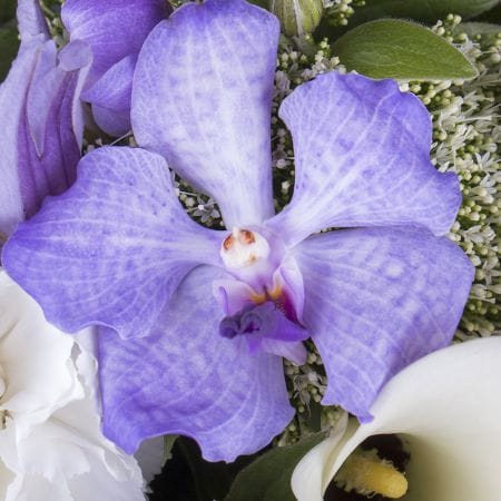 Лагідний небосхил – доставка квітів у Южний