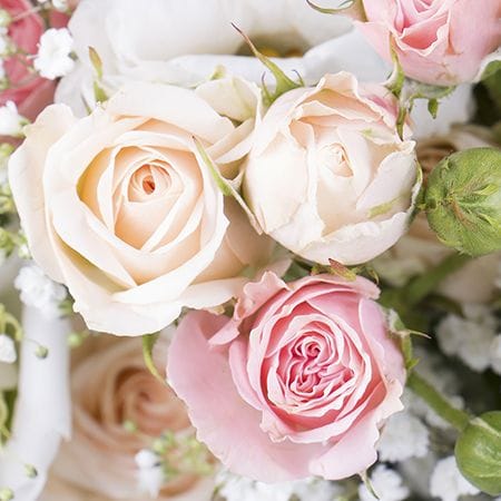 Леона – доставка квітів у Миронівка