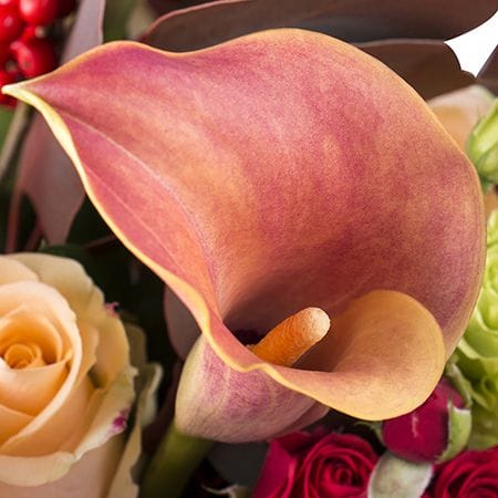 Букет квітів Семіраміда – доставка квітів у Южний