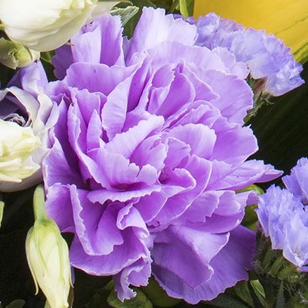 Blooming valley – flower delivery in Snovsk (former Schors)