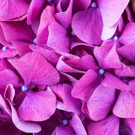 Colored dreams, Cherkassy