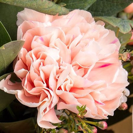 Букет цветов Мистерия чувств – доставка цветов в Черневцы