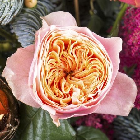 Зимовий мотив – доставка квітів у Гавана