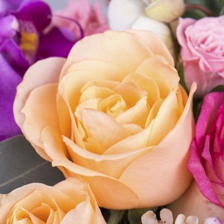 Sticks of Isis – flower delivery in Snovsk (former Schors)