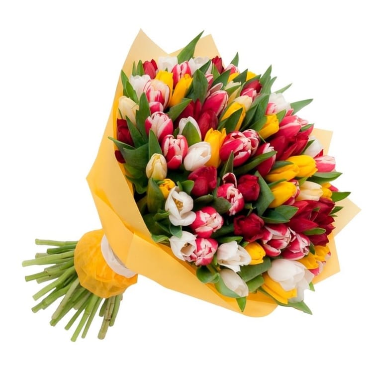Bouquet of 75 toulips – flower delivery in Stamboliyski