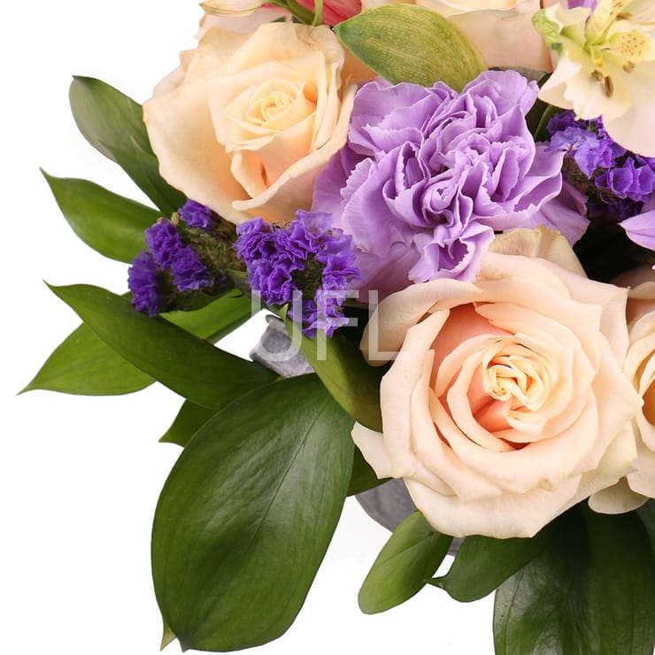 Тендітна ніжність , Хмельницький