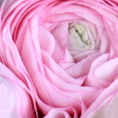 Весільний бриз – доставка квітів у Миронівка