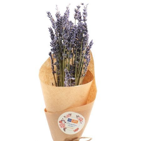 Lavander – flower delivery in Sofievskaya Borshchagovka