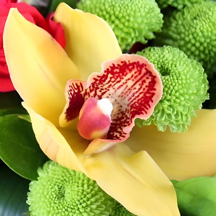 Букет квітів Самба – доставка квітів у Южний