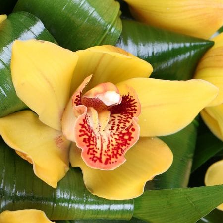 Бажання – доставка квітів у Южний