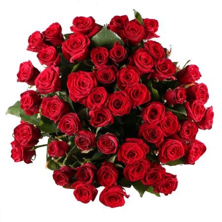 51 roses 60 cm – flower delivery in Ilovaysk
