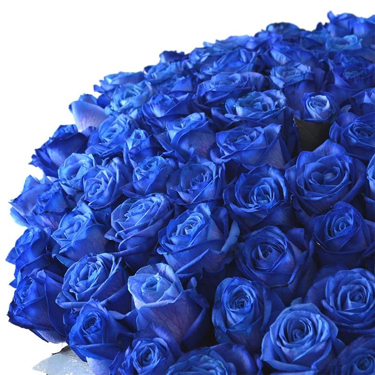 Blue roses by the piece – flower delivery in Kiev - Local district