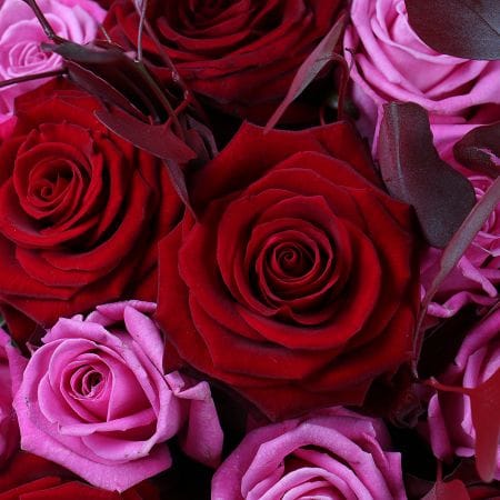 Roses in a box – flower delivery in Volnyansk