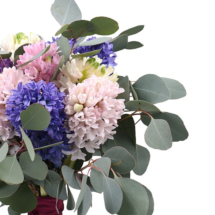 9 гиацинтов  – доставка цветов в Бенглен