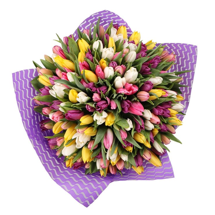 101 тюльпан (Нідерланди!) – доставка квітів у Терамо