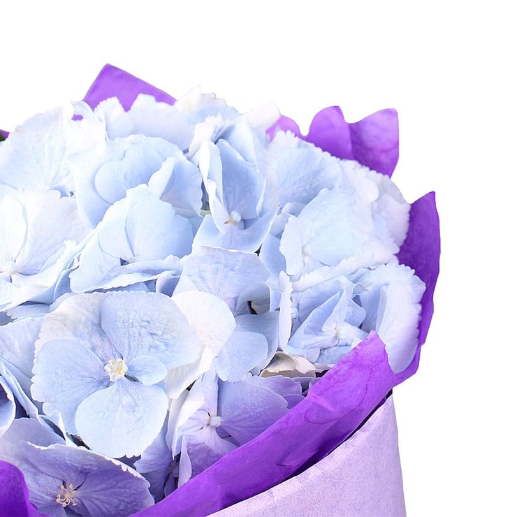 Букет квітів Ніжність хмари – доставка квітів у Аваруа