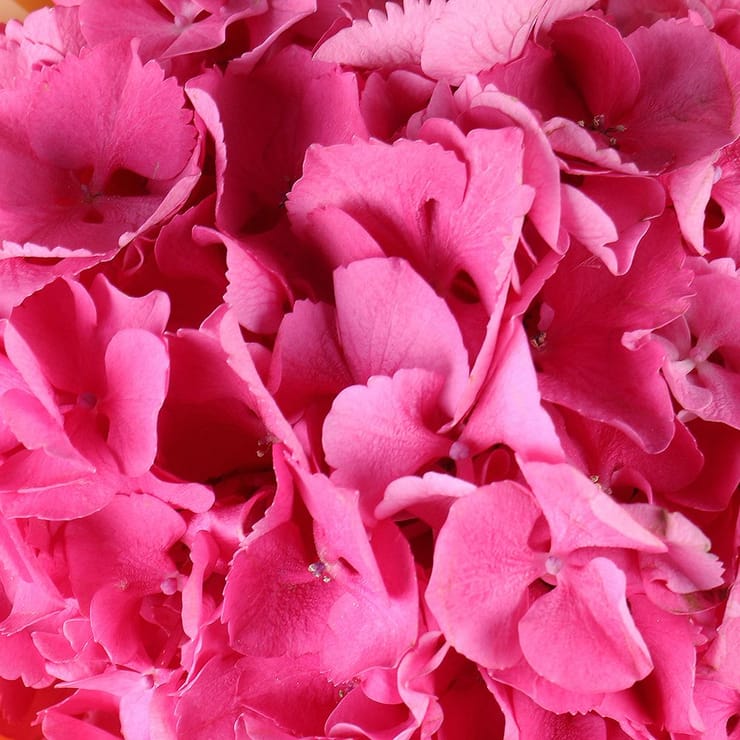 Яскравий момент – доставка квітів у Аваруа