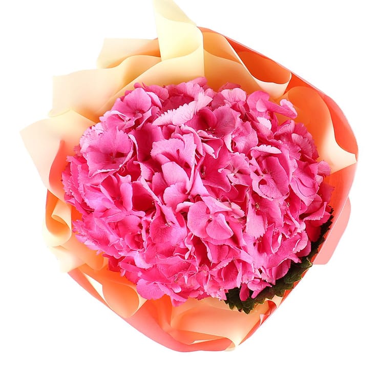 Яскравий момент – доставка квітів у Аваруа