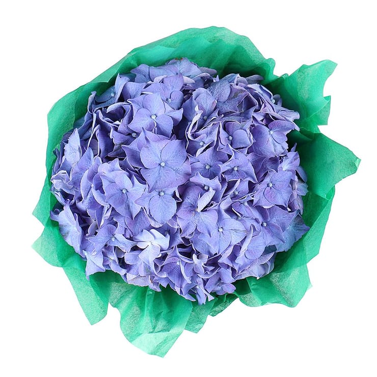 Букет квітів Колір хвилі – доставка квітів у Аваруа