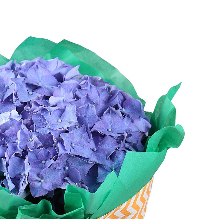 Букет квітів Колір хвилі – доставка квітів у Аваруа