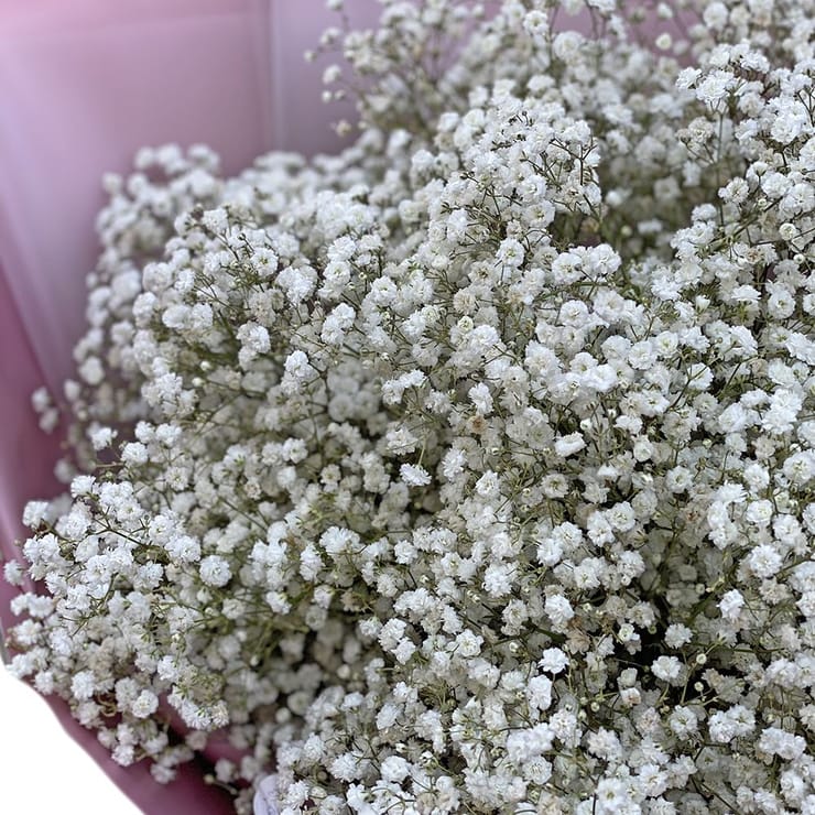 Bouquet of white baby’s breath – flower delivery in Kirovsk (Ukraine)