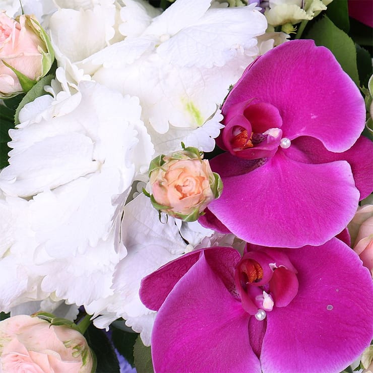 Квіти в коробці Екзотичний сад – доставка квітів у Пуховка