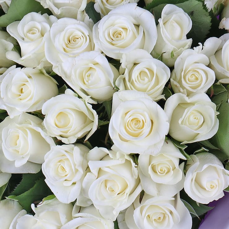 Bouquet 51 white roses – flower delivery in Volnyansk