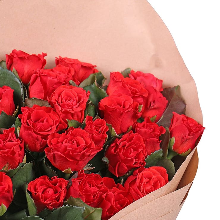 25 red roses – flower delivery in Nizhnie_seregozi