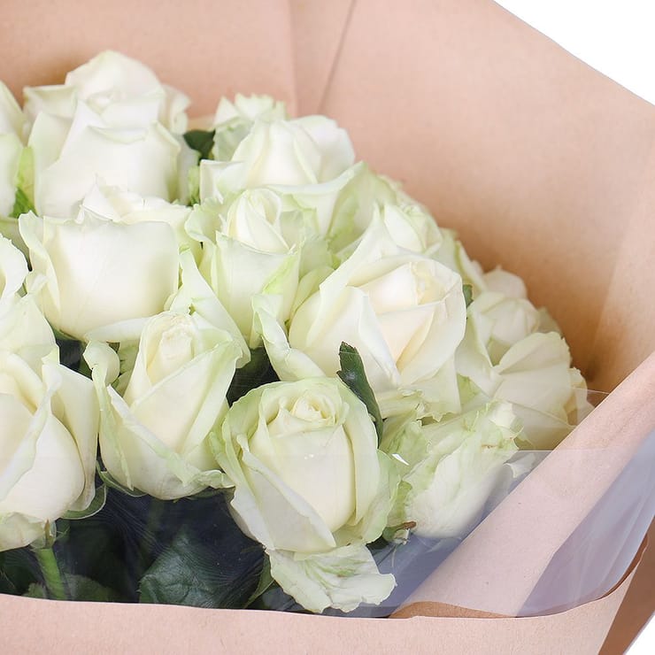 25 white roses – flower delivery in Volnyansk