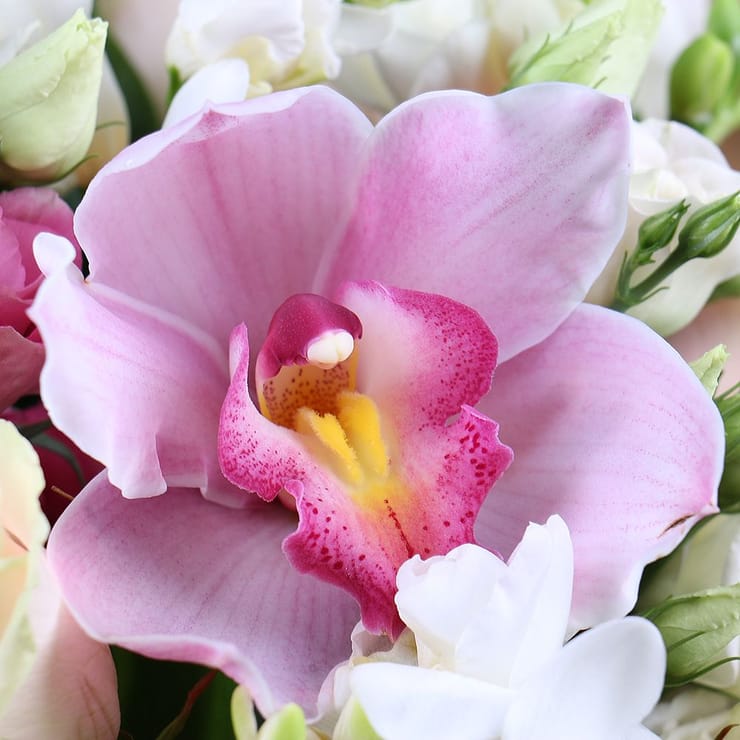 Букет квітів Ніжний подарунок – доставка квітів у Дублін