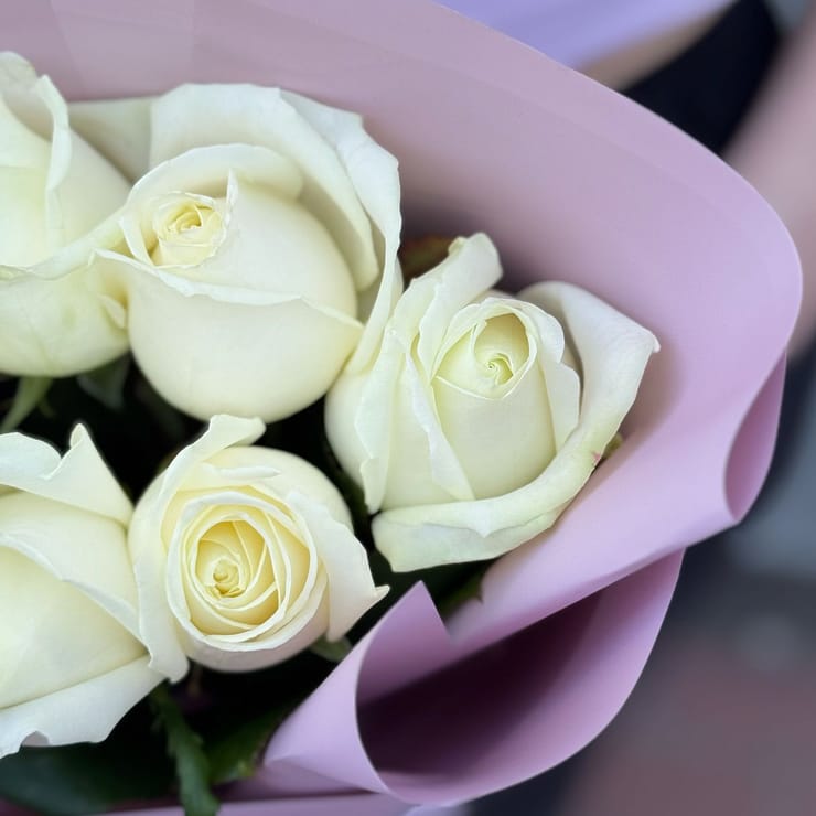 Букет 7 білих троянд – доставка квітів у Славута