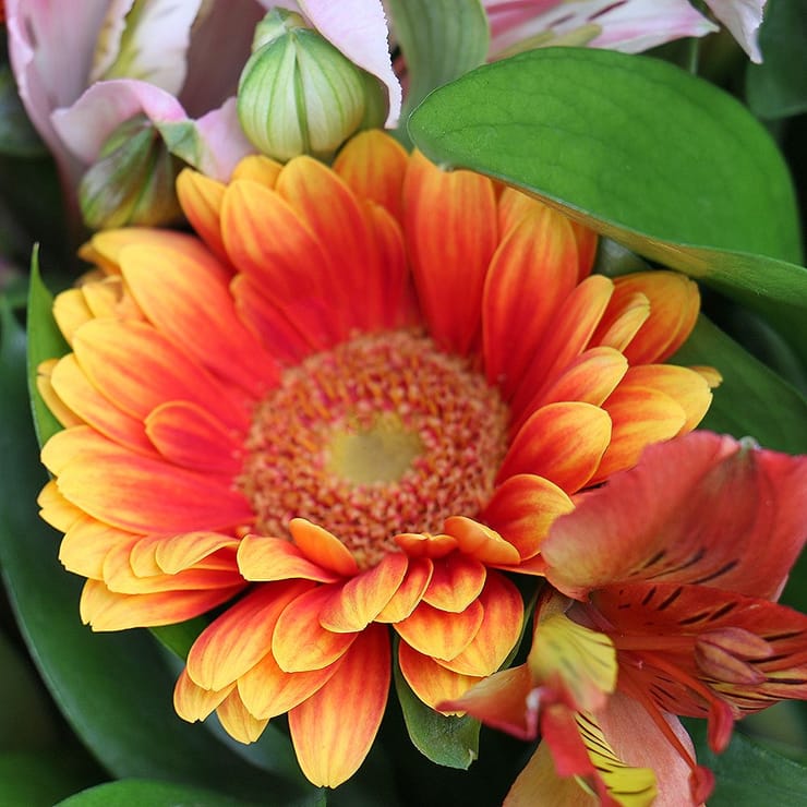 Букет квітів Літній мікс – доставка квітів у Тельманове