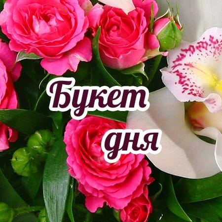 Deal of the day + 25% flowers more, Zhmerinka