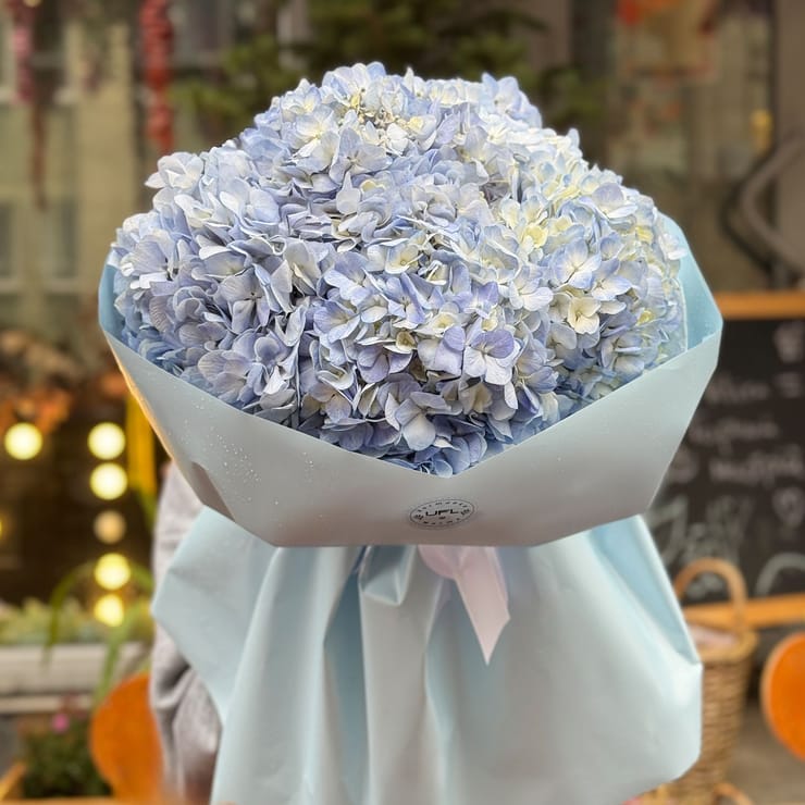 Букет блакитних гортензій – доставка квітів у Аваруа