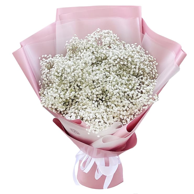 Bouquet of white baby’s breath – flower delivery in Kirovsk (Ukraine)
