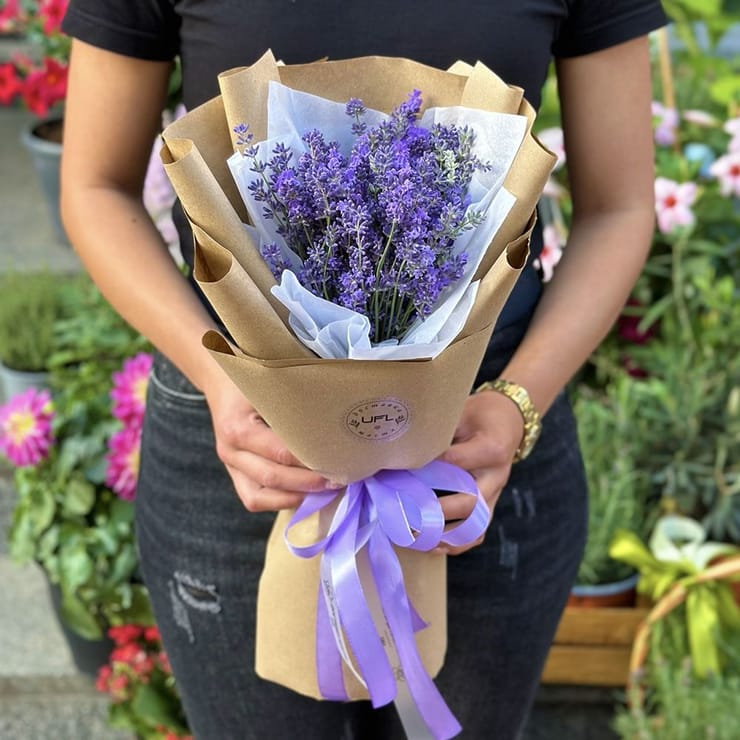 Lavender – flower delivery in Shepetivka