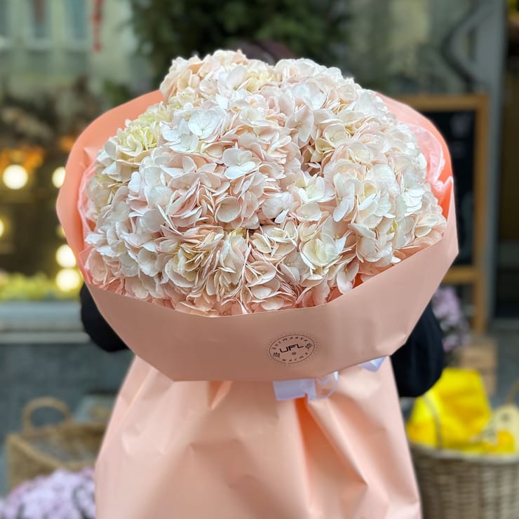 Букет рожевих гортензій – доставка квітів у Аваруа