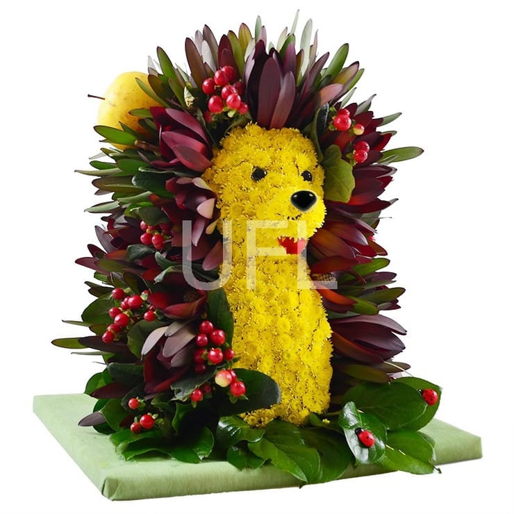Hedgehog in the Fog, Ovidiopol