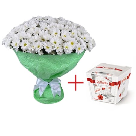 Chrysanthemum + Raffaello, Strasburg